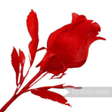 Petershams Millinery Supplies red goose feather rosebud hat mount with wired leaves and stem for millinery projects.