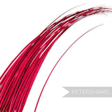 Petershams Millinery Supplies long fuchsia stripped ostrich quill feather for hat making and millinery projects.