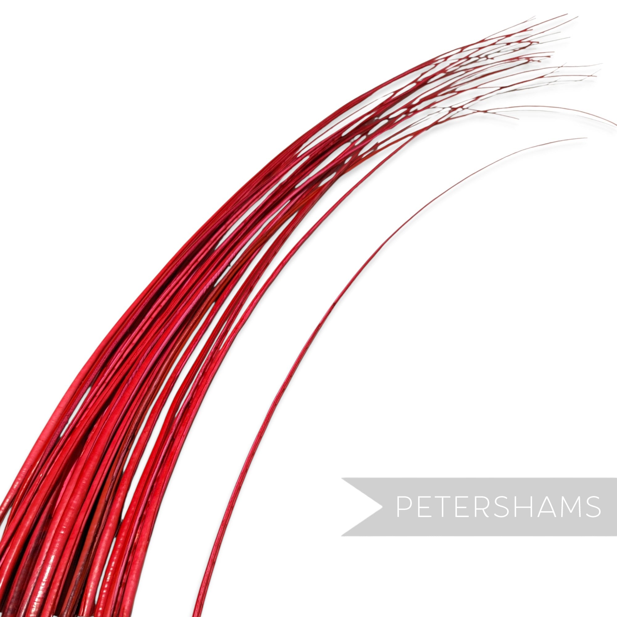 Petershams Millinery Supplies long red stripped ostrich quill feather for hat making and millinery crafts