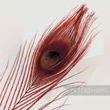Petershams Millinery Supplies single dyed red peacock eye feather for hat and fascinator trimming