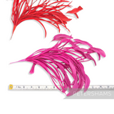 Petershams Millinery Supplies extra large red and pink stripped coque and goose biot feather hat mounts