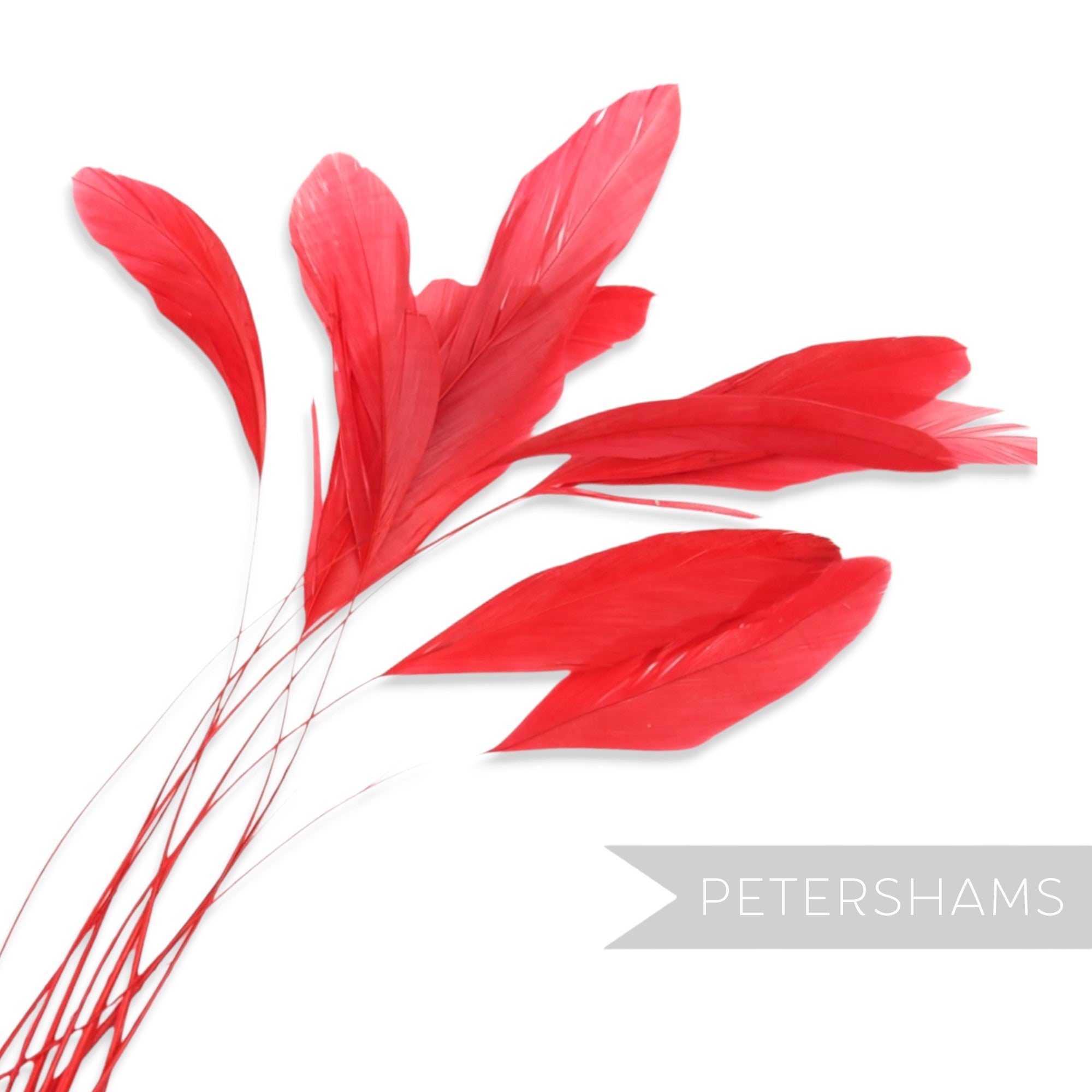Petershams Millinery Supplies pack of 10 long loose red stripped coque feathers for millinery and fascinator making