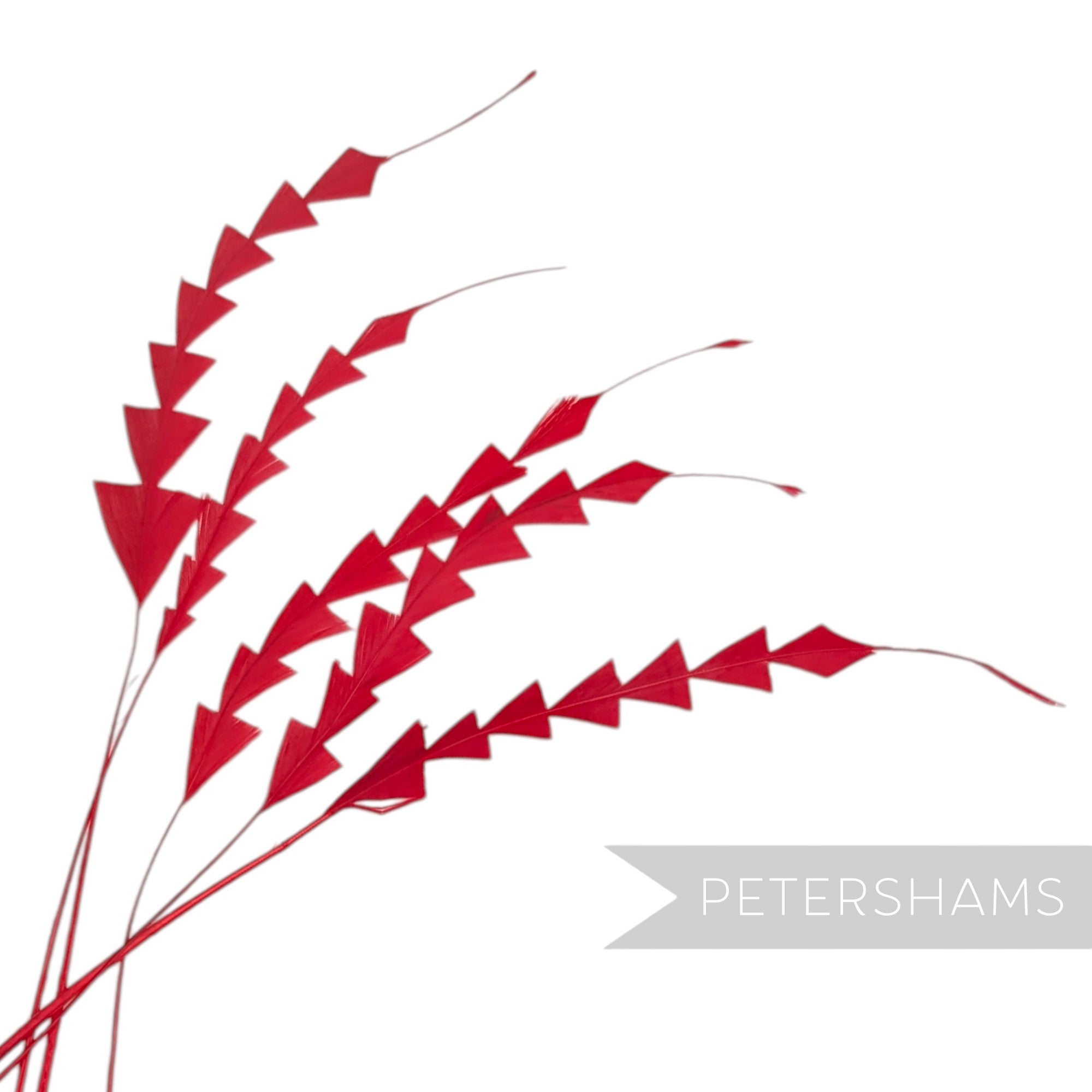 Petershams Millinery Supplies red hand-stripped coque feathers with a decorative zig zag pattern for hat making