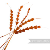 Petershams Millinery Supplies rust orange coque feathers hand-trimmed into a decorative zig zag pattern