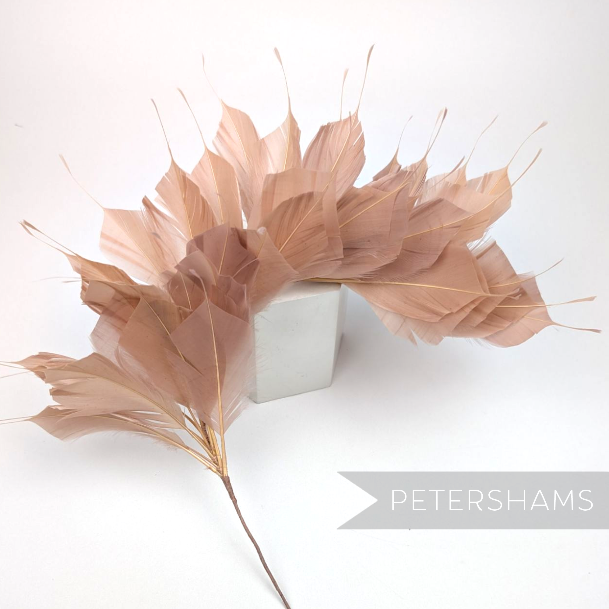 Petershams Millinery Supplies large spiky goose feather hat mount in  latte on a wired stem.