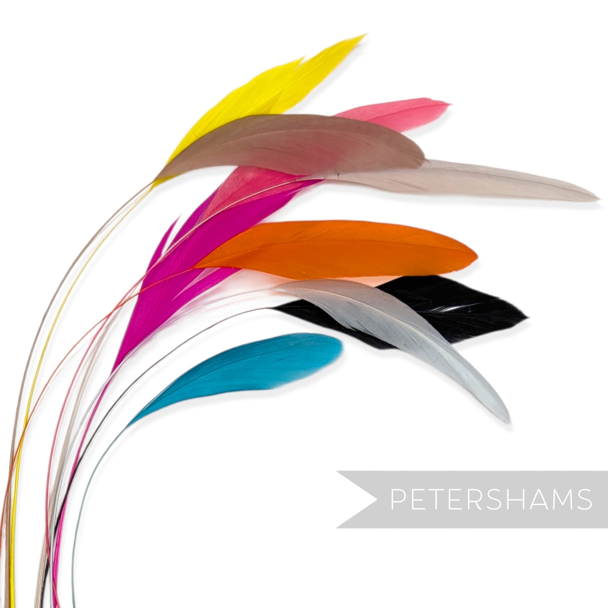 Petershams Millinery Supplies pack of 10 long loose stripped coque feathers in assorted vibrant colours for millinery