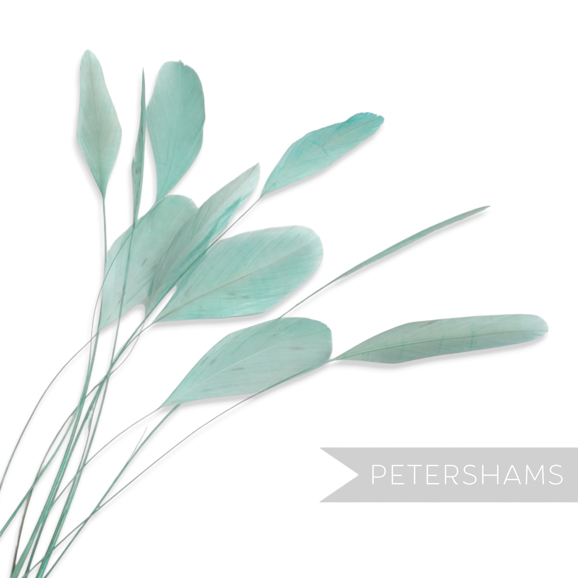 Petershams Millinery Supplies long loose stripped coque feathers in a soft mint green for millinery and fascinators