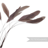 Petershams Millinery Supplies long loose stripped coque feathers in a soft taupe shade for millinery and fascinators.