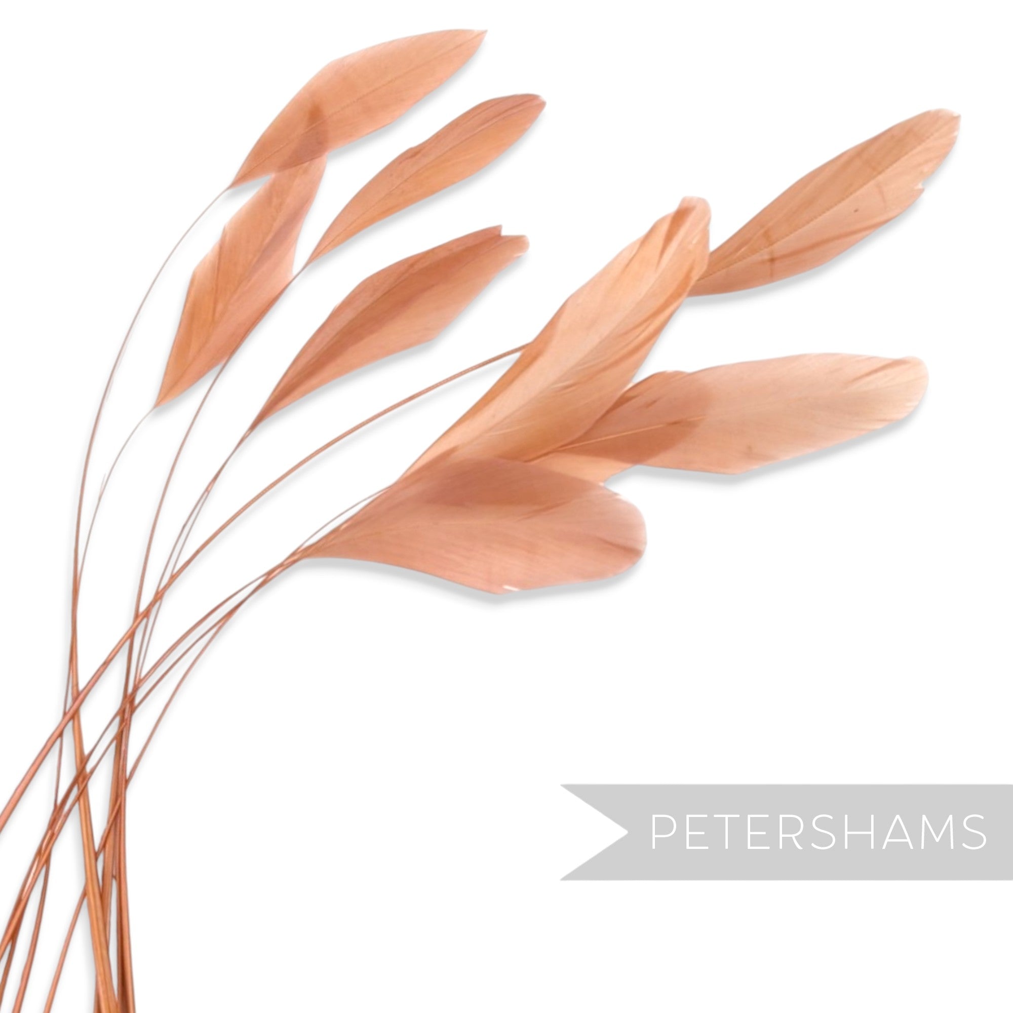 Petershams Millinery Supplies pack of 10 long loose peach stripped coque feathers for millinery and fascinators