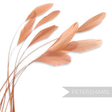 Petershams Millinery Supplies pack of 10 long loose peach stripped coque feathers for millinery and fascinators