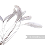 Petershams Millinery Supplies pack of 10 long loose stripped coque feathers in a light grey shade for millinery.