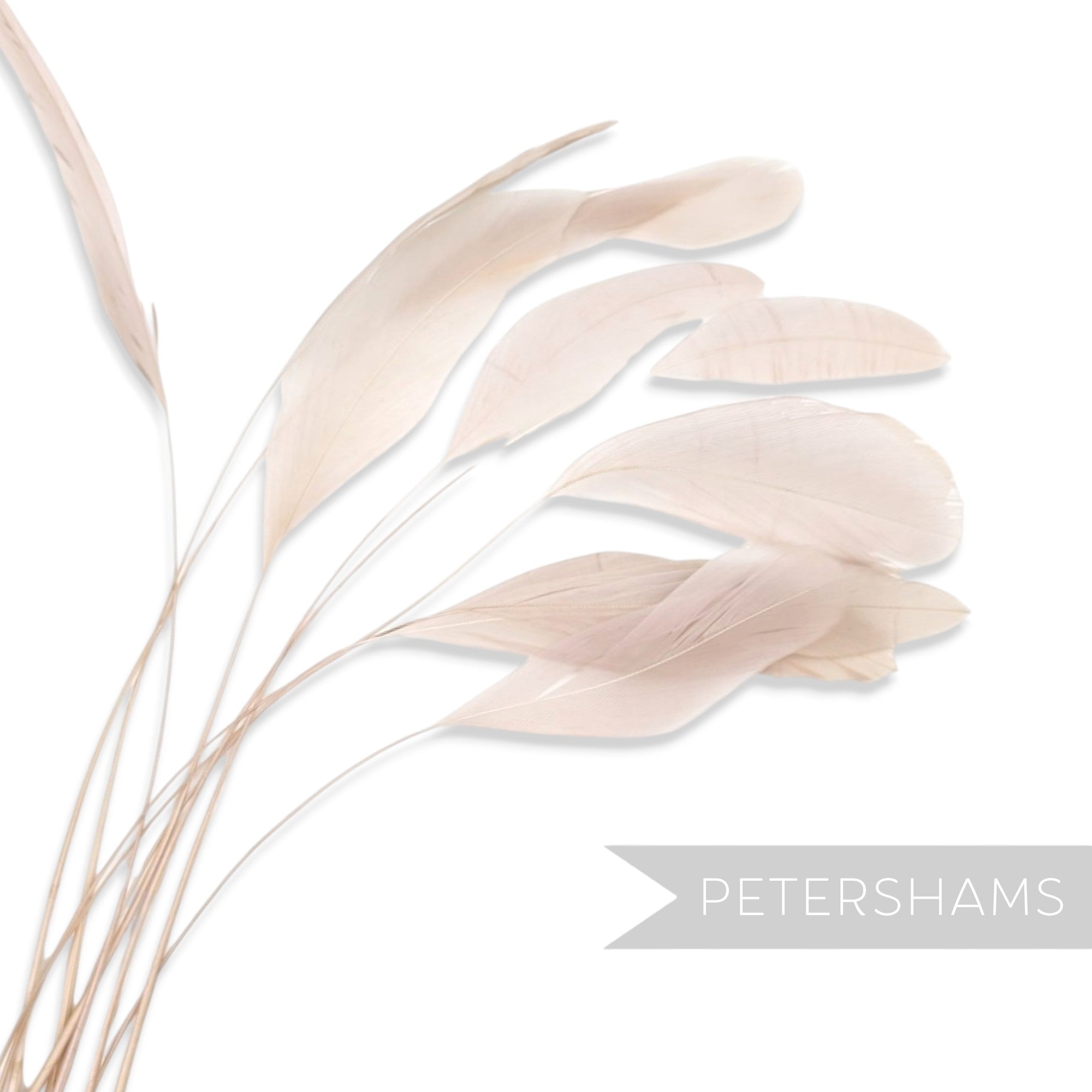 Petershams Millinery Supplies pack of 10 long loose stripped coque feathers in a soft pale blush pink tone