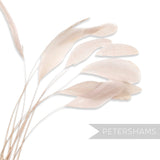 Petershams Millinery Supplies pack of 10 long loose stripped coque feathers in a soft pale blush pink tone