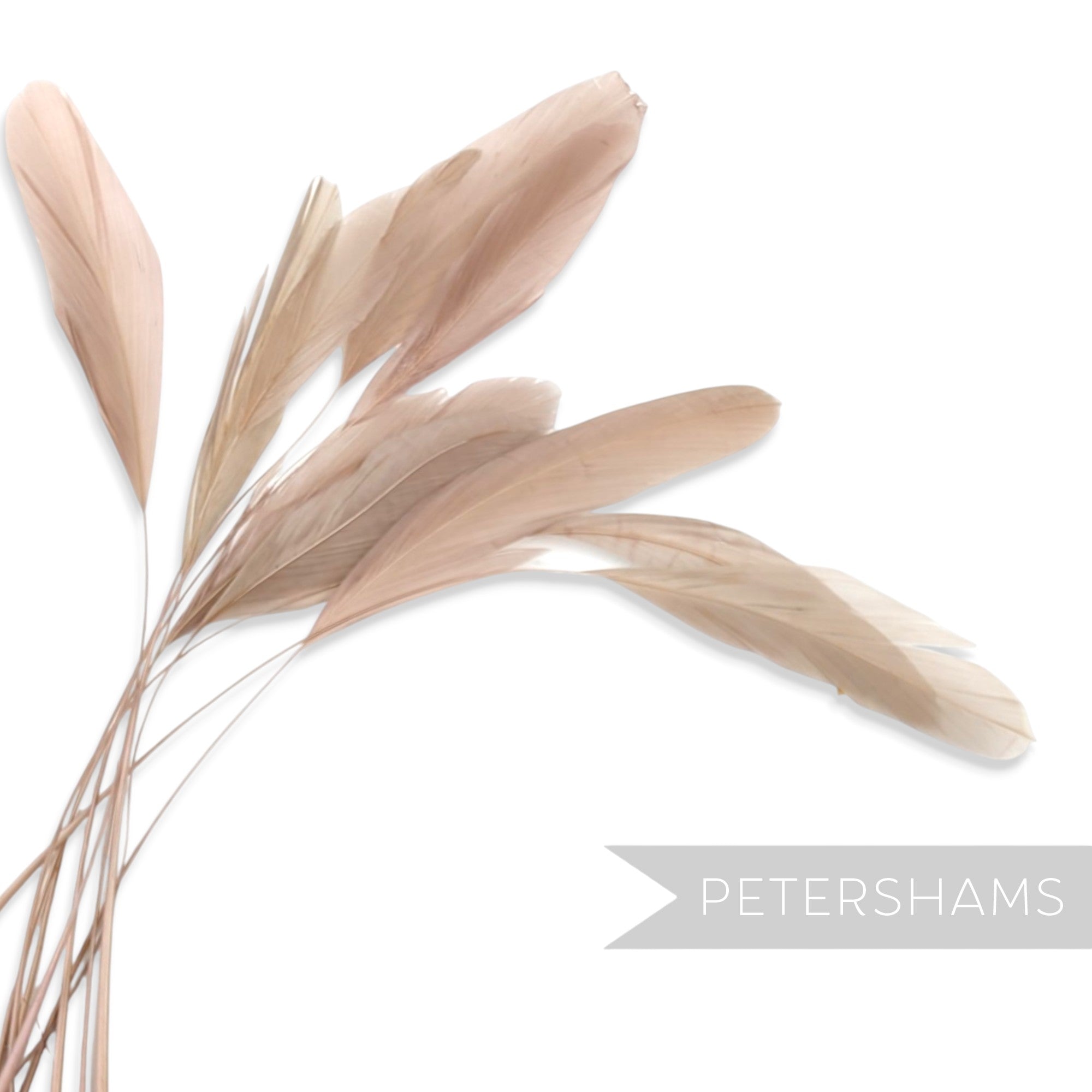 Petershams Millinery Supplies pack of 10 long loose stripped coque feathers in a soft beige tone for millinery crafts