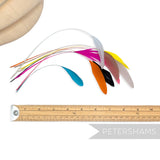 Petershams Millinery Supplies long loose stripped coque feathers in assorted bright colours for millinery crafts