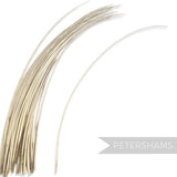 Petershams Millinery Supplies long stripped ostrich quill feather in a light beige tone for hat making and crafts.