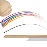 Petershams Millinery Supplies multi-coloured stripped ostrich quill feathers for hat making and millinery crafts
