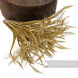 Petershams Millinery Supplies tan goose biot feather firework mount for hat making and millinery projects.