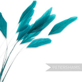 Petershams Millinery Supplies teal stripped coque feathers for millinery and fascinator making