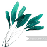 Petershams Millinery Supplies pack of 10 long loose teal stripped coque feathers for millinery and fascinator making.