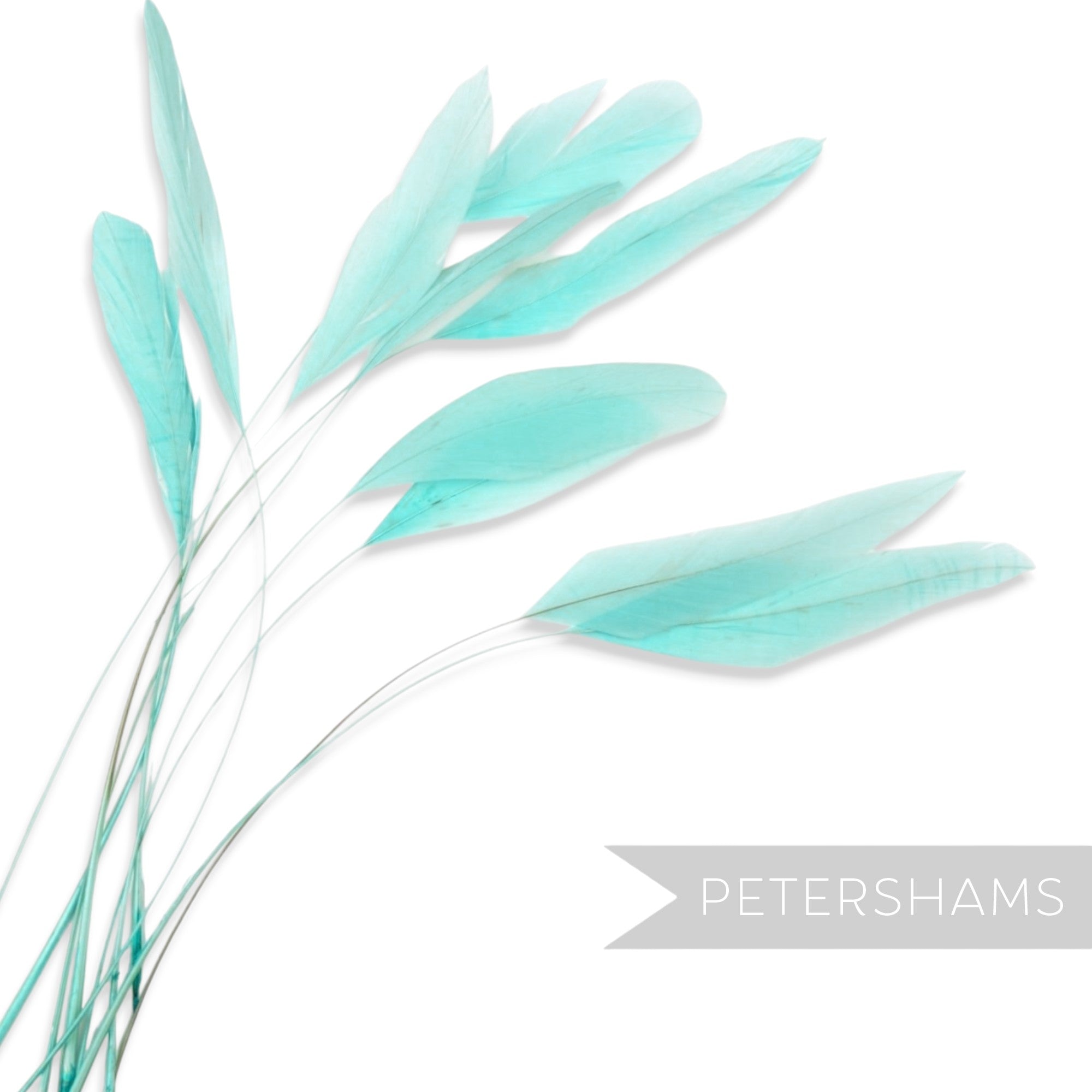 Petershams Millinery Supplies long loose turquoise stripped coque feathers for millinery and fascinator making