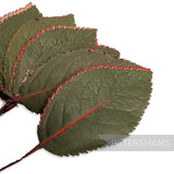 Petershams Millinery Supplies vintage triple ply paper leaves with hand-painted red stripes on wired stems.