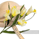 Petershams Millinery Supplies vintage 1960s German silk freesia flower mount in cream with yellow centers.