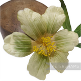 Petershams Millinery Supplies vintage 1950s German silk hibiscus flower with spring green veining and long yellow stamens
