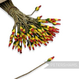 Petershams Millinery Supplies vintage wired flower stamens with red, yellow, and green matt finish heads.