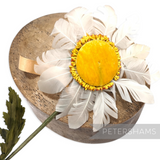 Petershams Millinery Supplies vintage white feather daisy flower with a yellow velvet centre and long green stem
