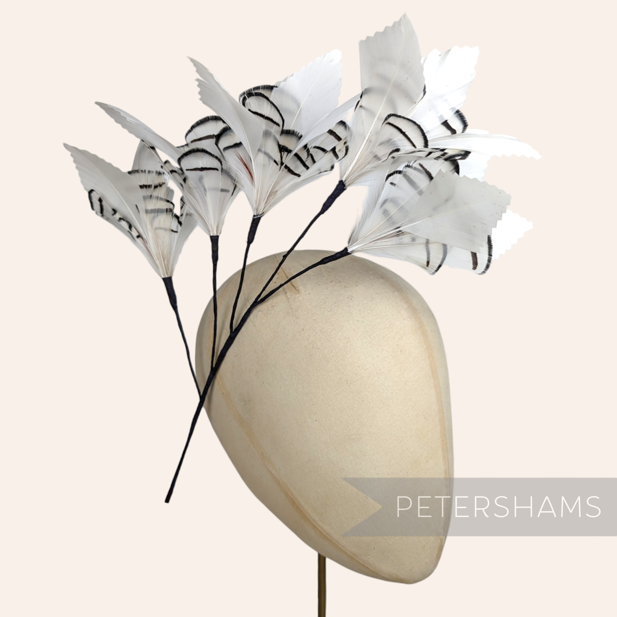 Petershams Millinery Supplies extra large white Lady Amherst and goose feather flower hat mount