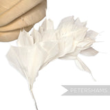 Petershams Millinery Supplies large ivory spiky goose feather wired hat mount for millinery and headpiece design.