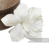 Petershams Millinery Supplies white silk orchid flower hat mount for fascinators and millinery projects