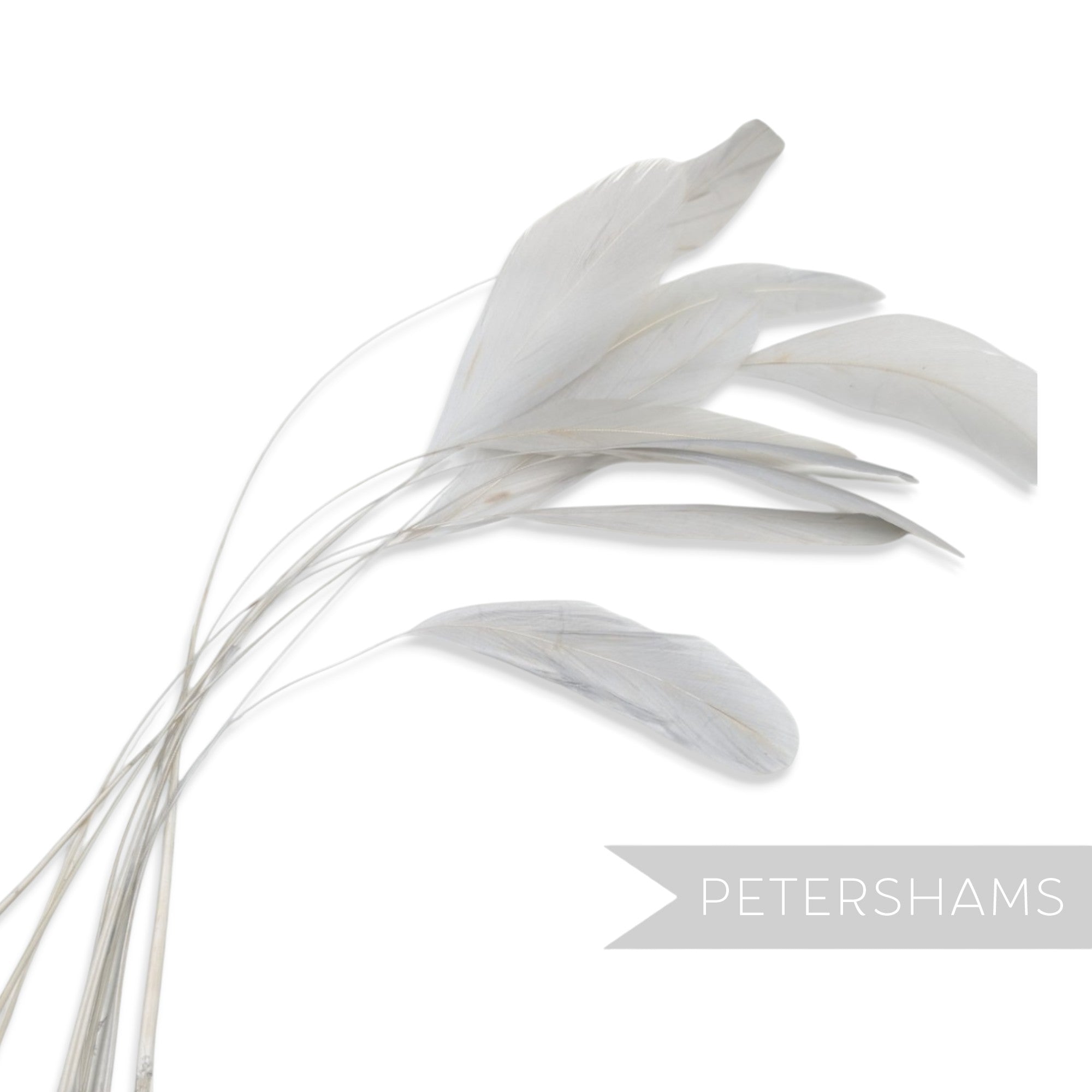 Petershams Millinery Supplies white stripped coque feathers for millinery and fascinator making