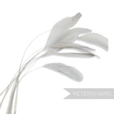 Petershams Millinery Supplies white stripped coque feathers for millinery and fascinator making