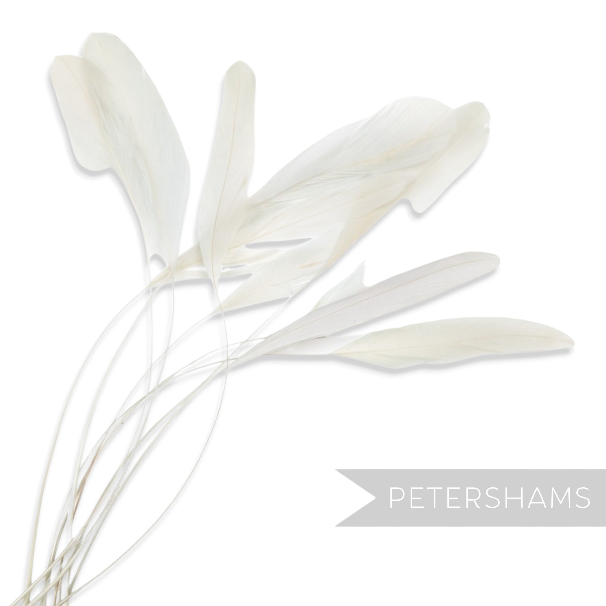 Petershams Millinery Supplies white stripped coque feathers for millinery and fascinator making, pack of 10