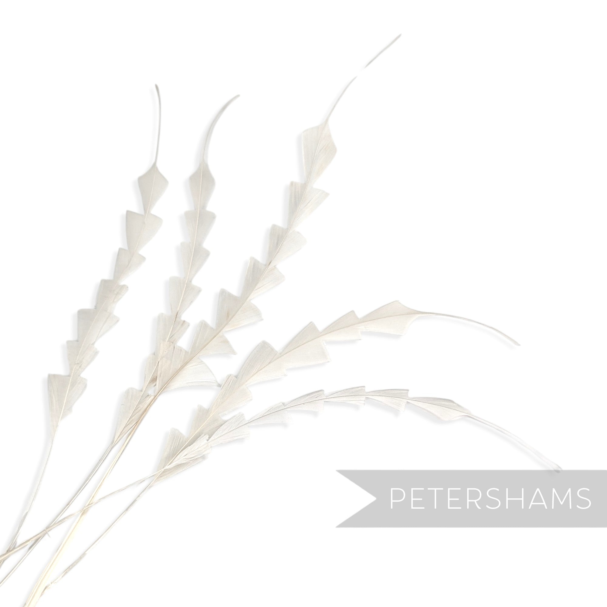 Petershams Millinery Supplies white zig zag coque feathers for hat making, pack of 5 hand-trimmed decorative plumes.