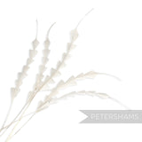 Petershams Millinery Supplies white zig zag coque feathers for hat making, pack of 5 hand-trimmed decorative plumes.