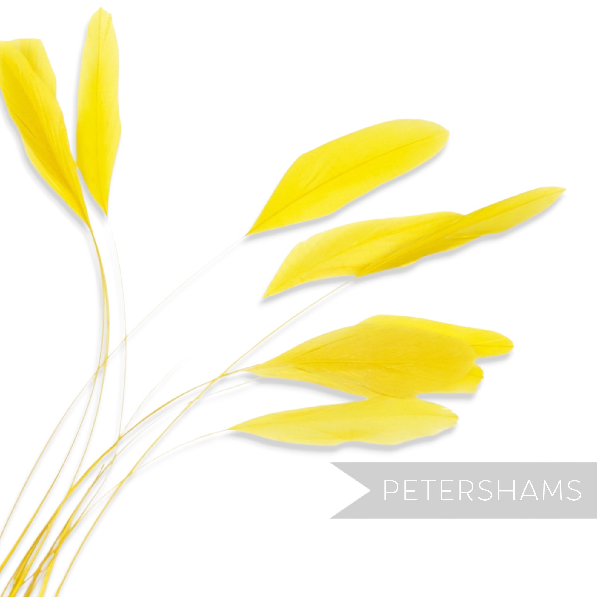 Petershams Millinery Supplies long loose yellow stripped coque feathers for millinery and fascinator making