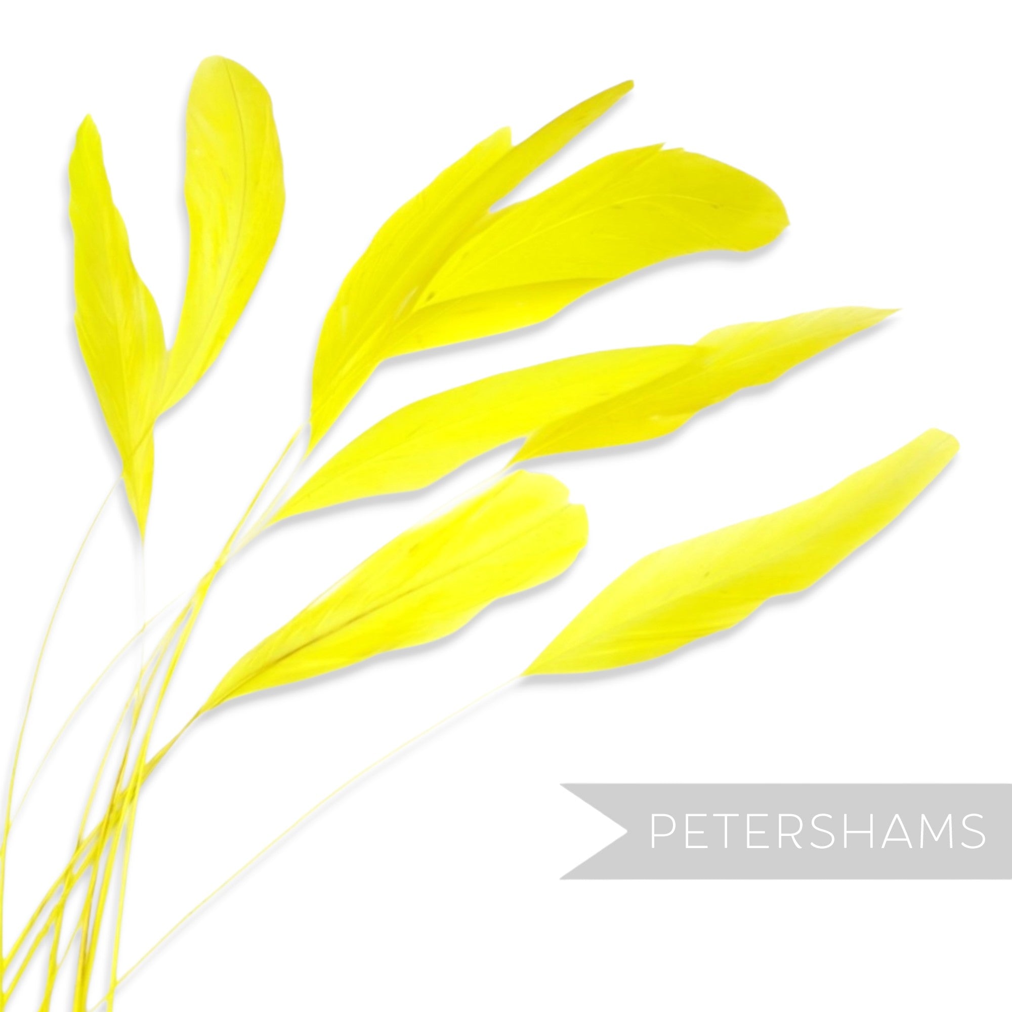 Petershams Millinery Supplies pack of 10 long yellow stripped coque feathers for fascinators and millinery projects.
