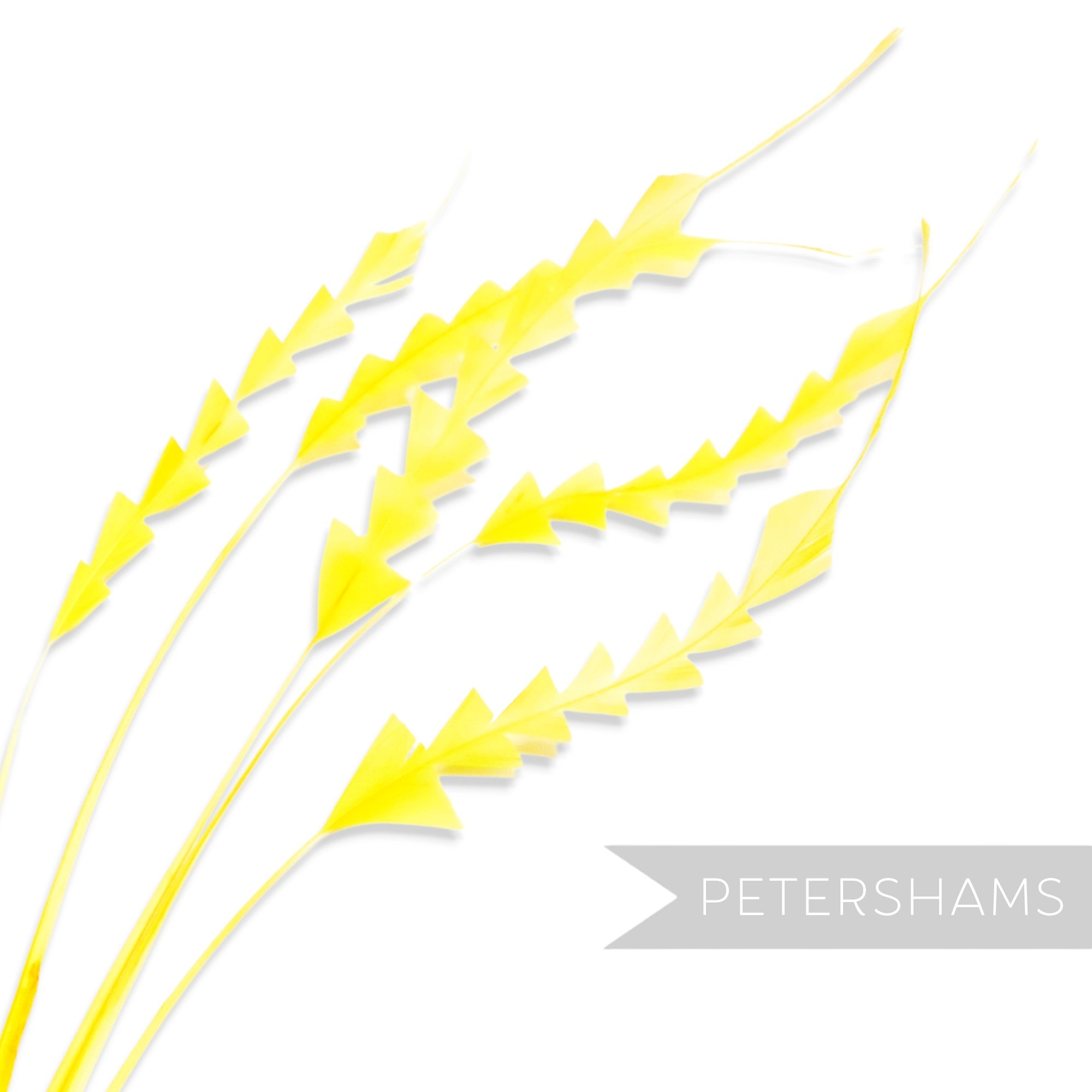 Petershams Millinery Supplies yellow zig zag coque feathers for hat making and millinery projects