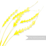 Petershams Millinery Supplies yellow zig zag coque feathers for hat making and millinery projects