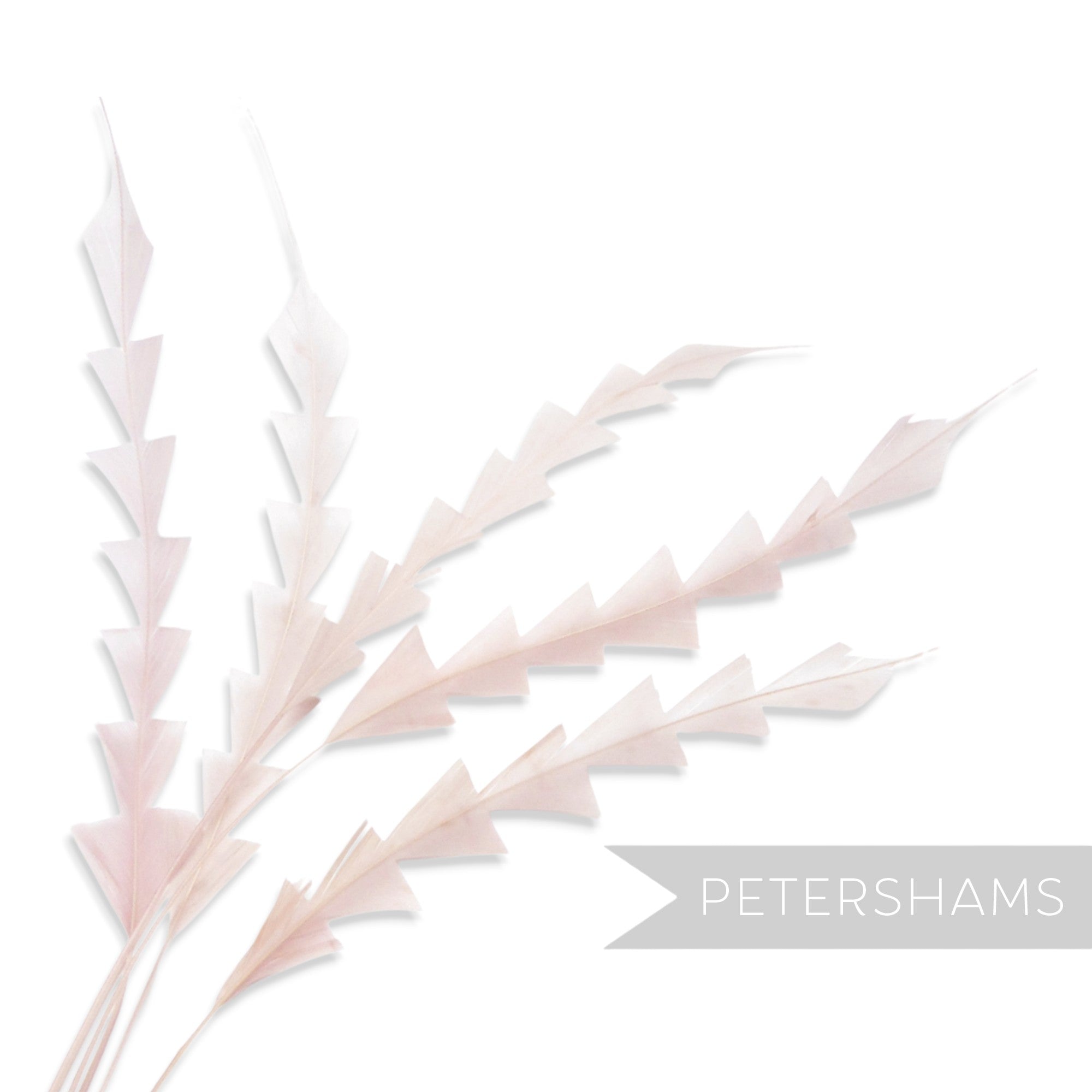 Petershams Millinery Supplies pack of five pale pink hand-stripped zig zag coque feathers for hat making