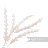 Petershams Millinery Supplies pack of five pale pink hand-stripped zig zag coque feathers for hat making