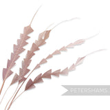 Petershams Millinery Supplies pack of five hand-stripped coque feathers with a decorative zig zag trim pattern