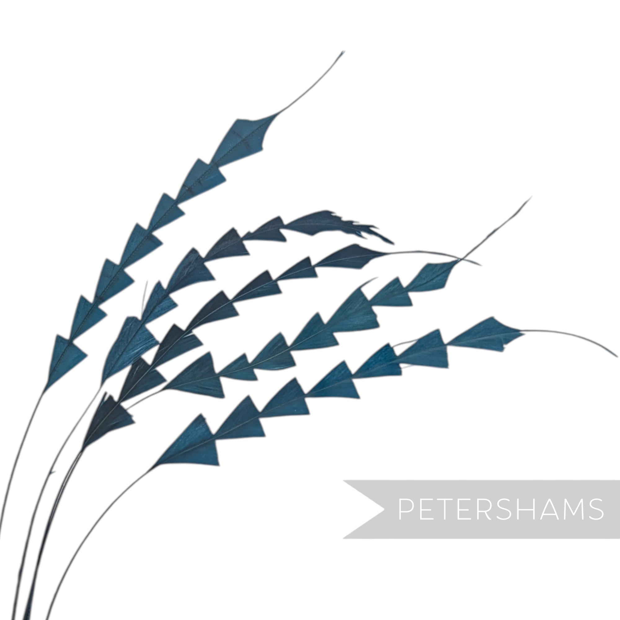 Petershams Millinery Supplies dark blue coque feathers trimmed into a decorative zig zag pattern for hat making