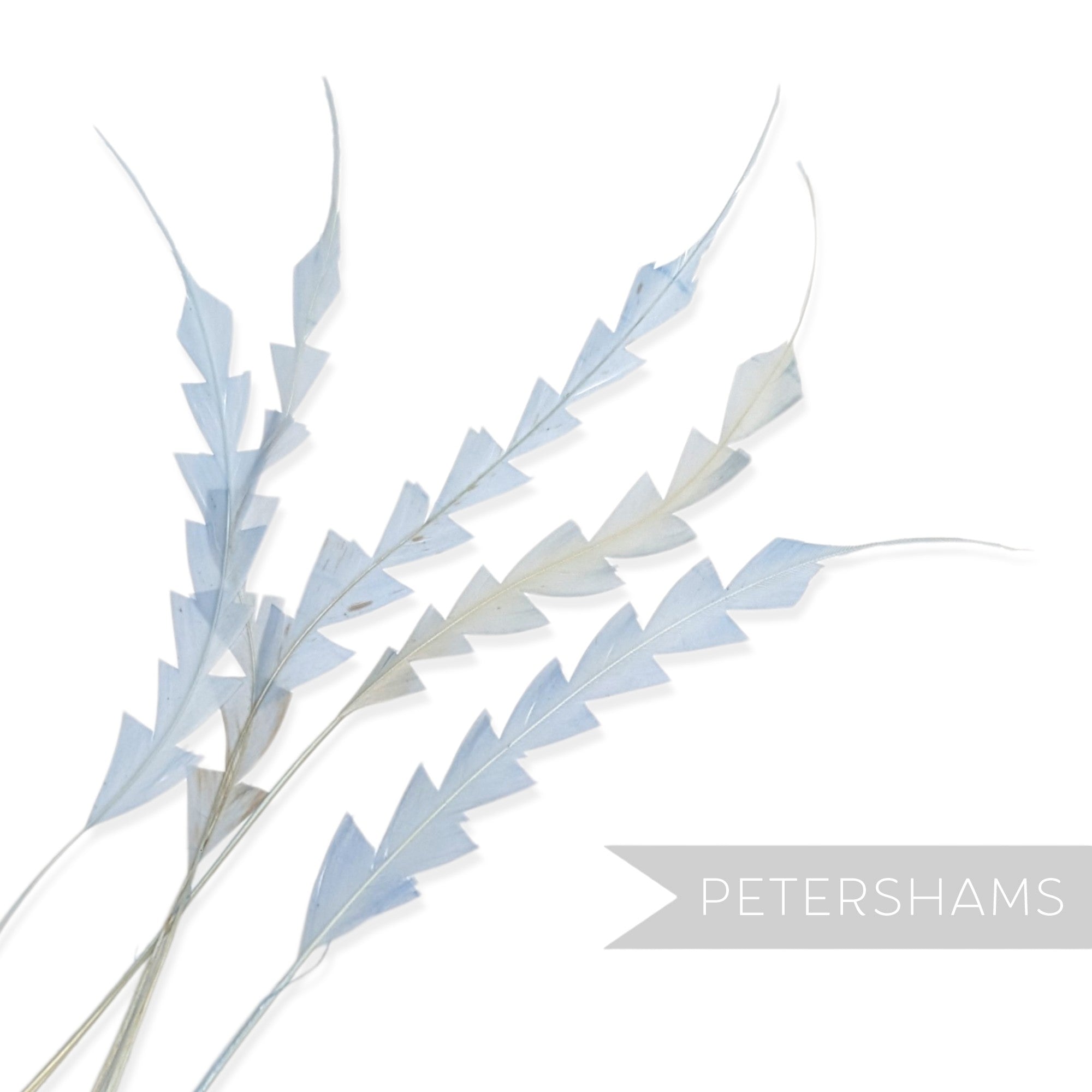 Petershams Millinery Supplies pack of five light blue hand-stripped coque feathers with a decorative zig zag trim.