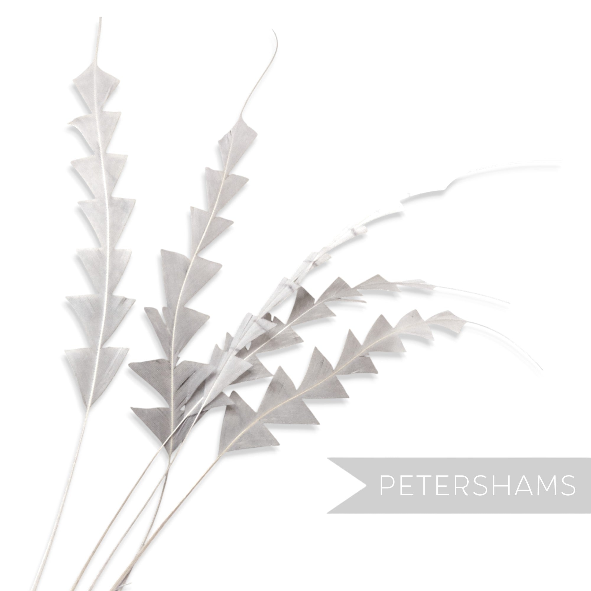 Petershams Millinery Supplies grey zig zag coque feathers for hat making and millinery projects