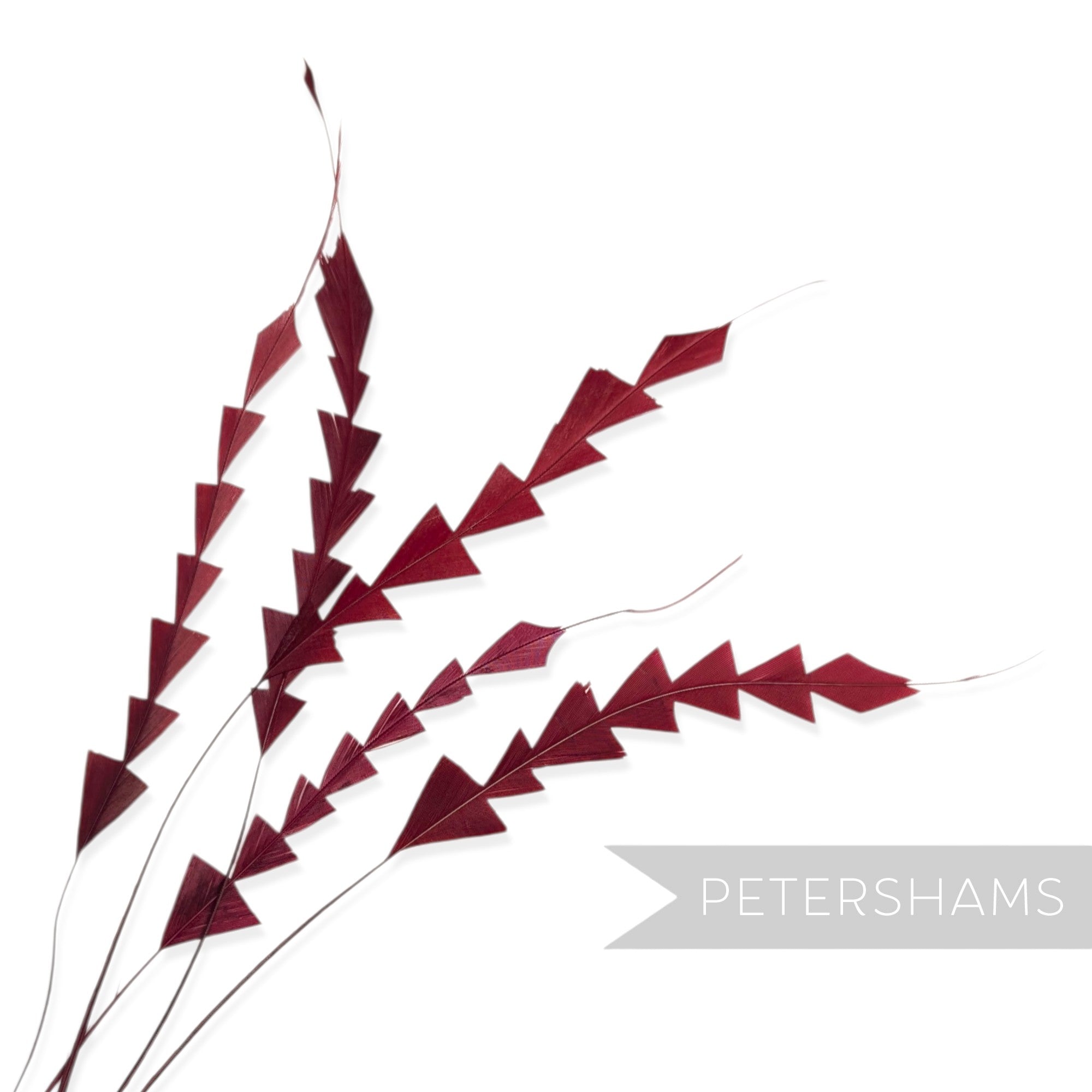 Petershams Millinery Supplies pack of five deep red hand-trimmed zig zag coque feathers for hat making