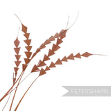 Petershams Millinery Supplies pack of five brown coque feathers hand-trimmed into a decorative zig zag pattern